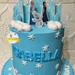 Panel Frozen Cake