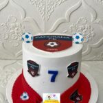Soccer Team Theme cake